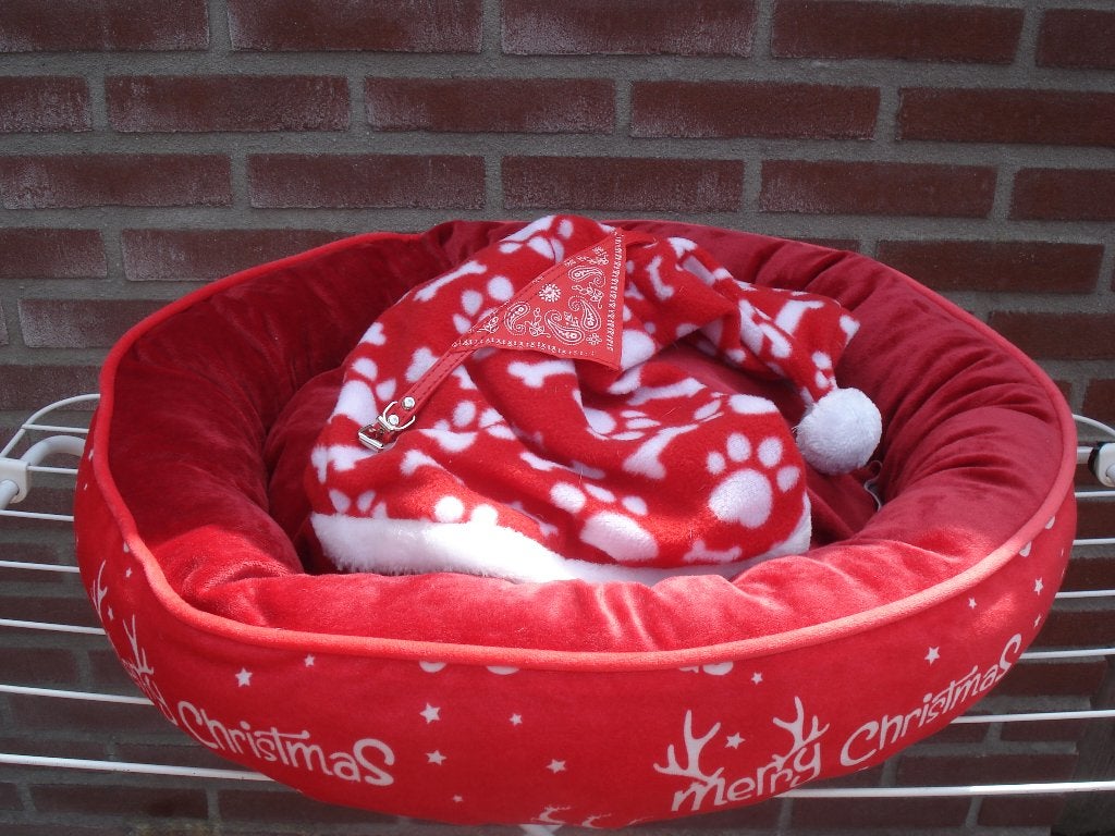 Kerst mand en jasje voor hondje + halsbandje, Ophalen of Verzenden, Overige