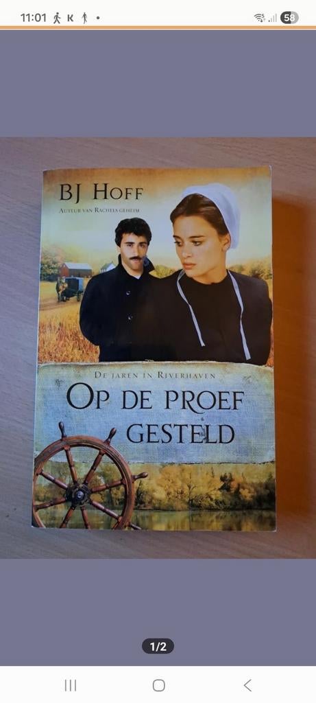 Op de Proef Gesteld - BJ Hoff (De Jaren in Riverhaven), Boeken, Ophalen of Verzenden, Gelezen, BJ Hoff, Nederland