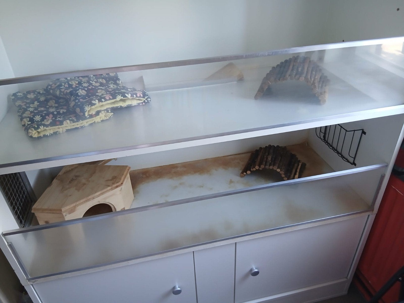 Cavia flat, Dieren en Toebehoren, Ophalen, Gebruikt, Cavia