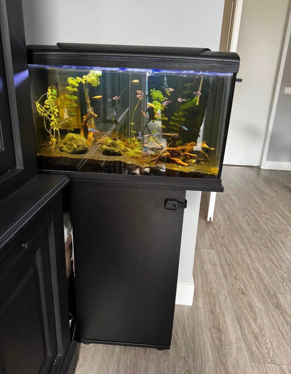 Aquarium 65 liter, Dieren en Toebehoren, Ophalen, Zo goed als nieuw, Aquariummeubel