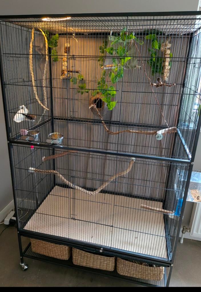 Zgan zeer ruime en praktische kamervoliere, Dieren en Toebehoren, Vogels | Hokken en Kooien, Ophalen, Zo goed als nieuw, Metaal
