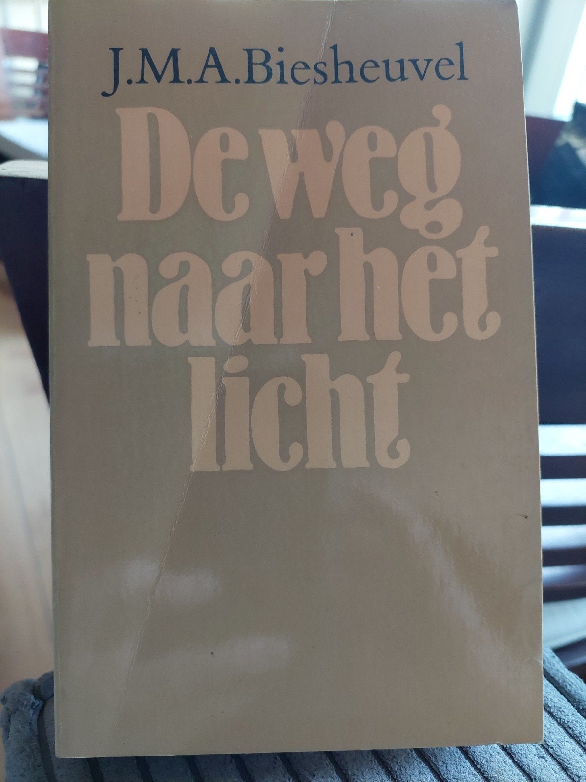 De weg naar het licht - J.M.A. Biesheuvel, Ophalen of Verzenden, Gelezen, J.M.A. Biesheuvel, Nederland