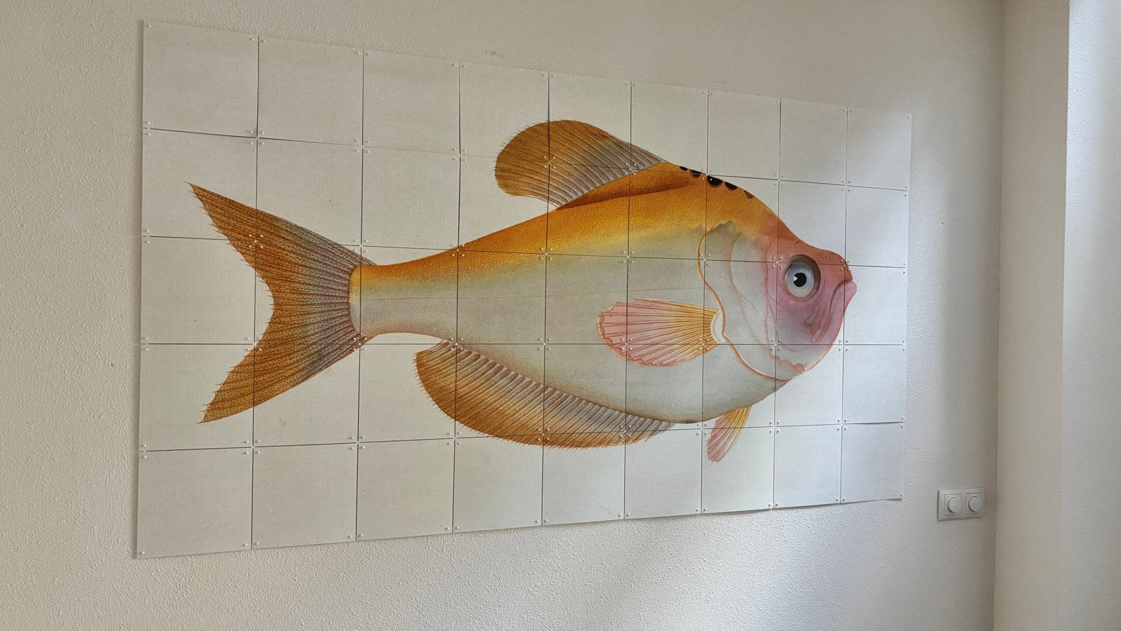 IXXI Grote vis wanddecoratie, Schilderij, Oranje, 100 cm, Ophalen of Verzenden