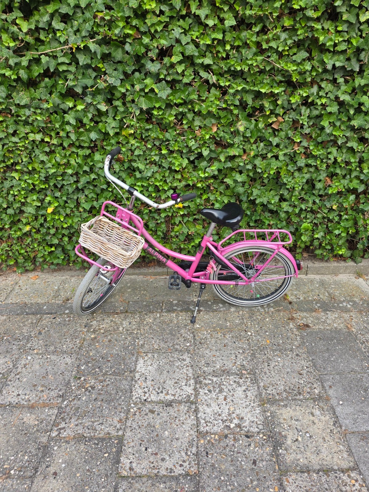Alpina Cargo 20 inch kinderfiets - roze, Fietsen en Brommers, Ophalen, Gebruikt, 20 inch, Alpina