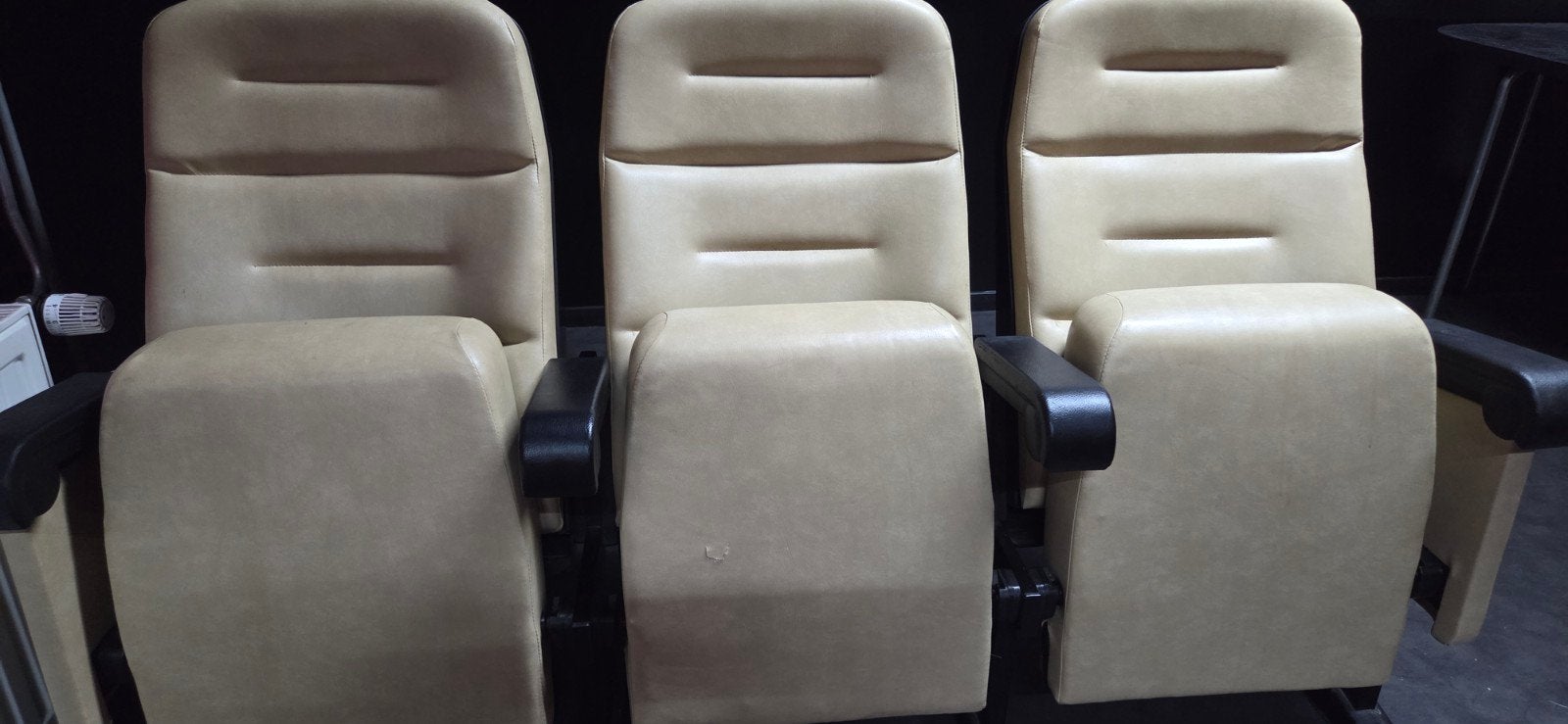 Comfortabele Bioscoopstoelen - Beige Leder, Ophalen, Gebruikt, Bioscoop, Leer