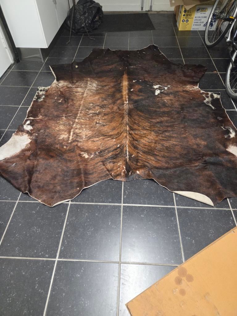 Prachtige koeienhuid in goede staat, Gebruikt, 150 tot 200 cm, Ophalen of Verzenden, Overige vormen
