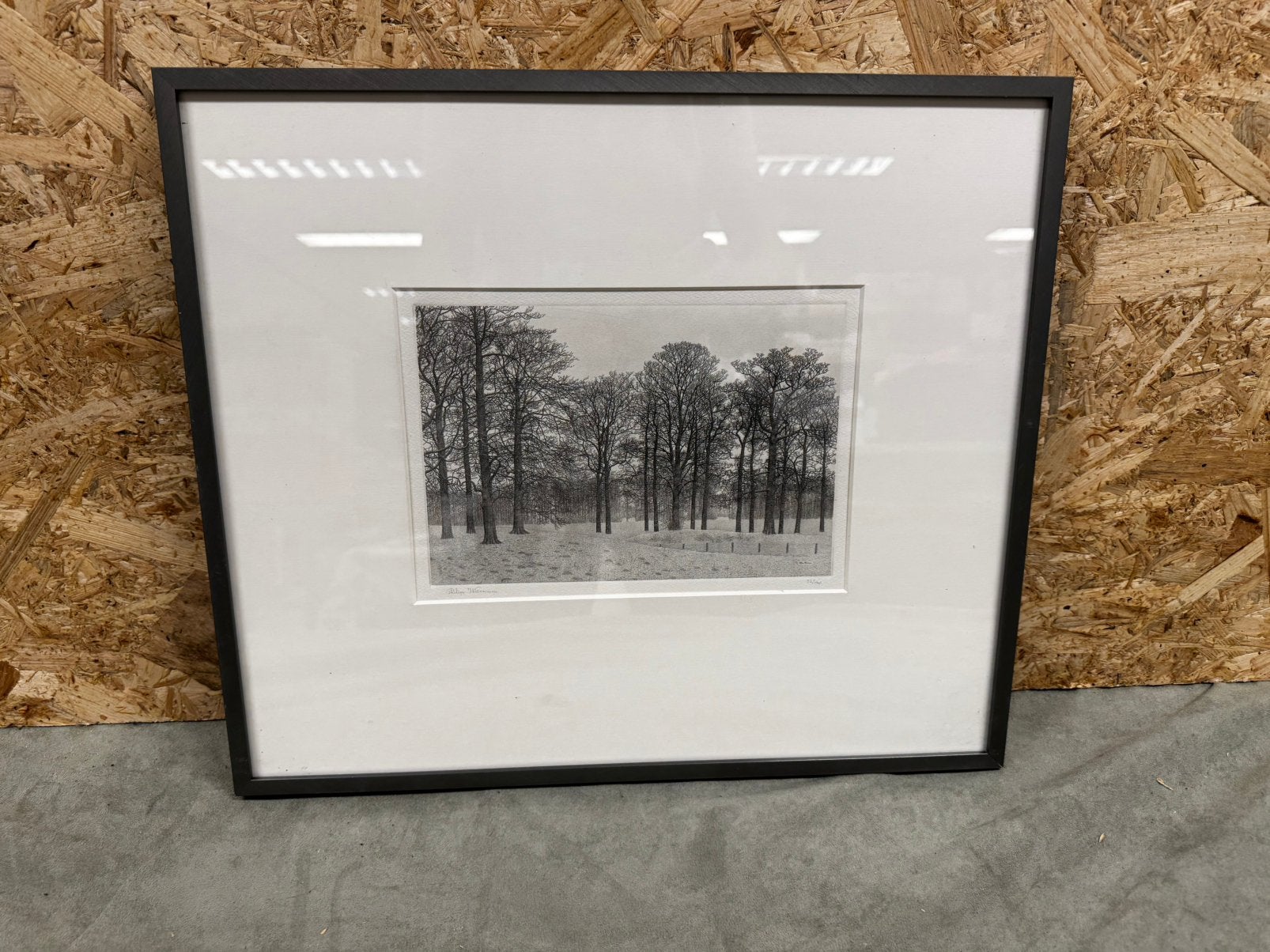 Originele Ets Philip Wiesman Bomenlandschap (32/120) - ReK4, Origineel, Ophalen of Verzenden, Flora en Fauna, 1950 - 1999