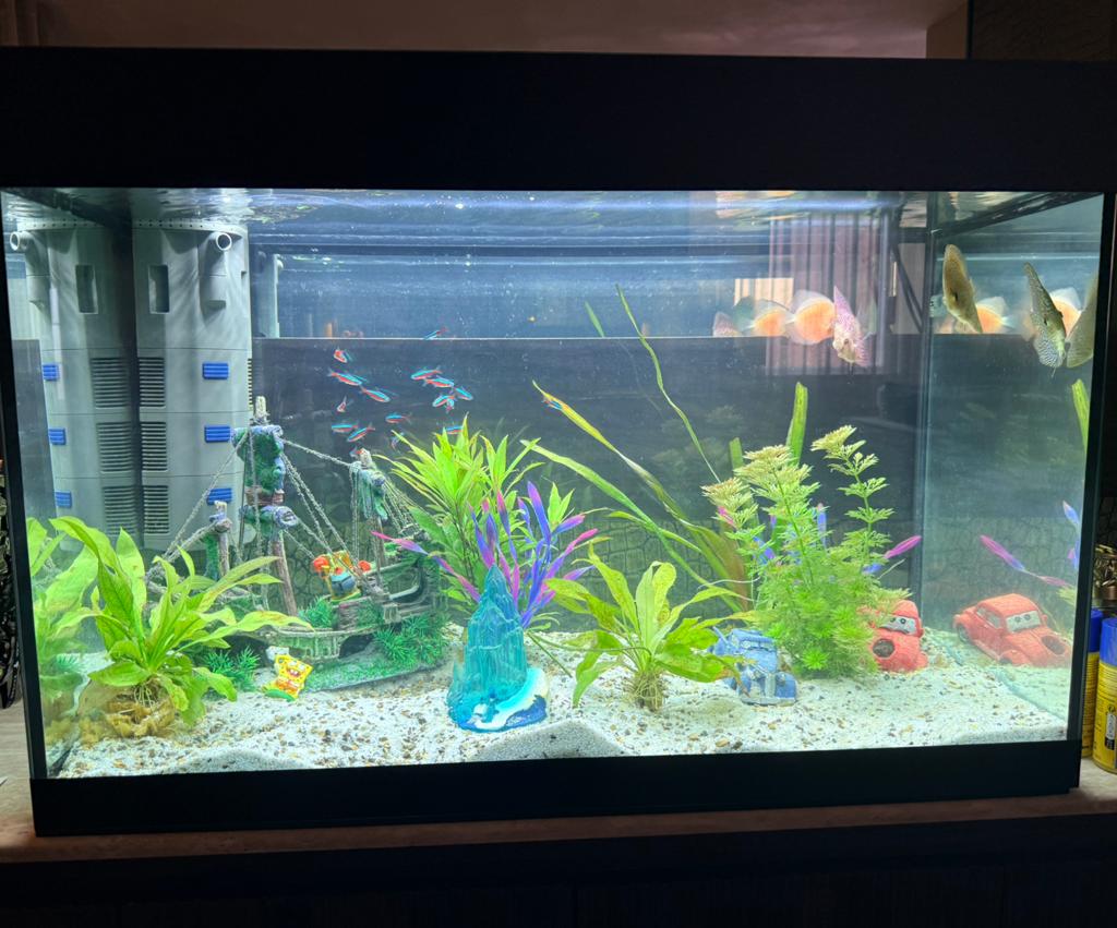 Aquarium oase styleline 175L, oase biofilter plus, Dieren en Toebehoren, Vissen | Aquaria en Toebehoren, Ophalen, Zo goed als nieuw