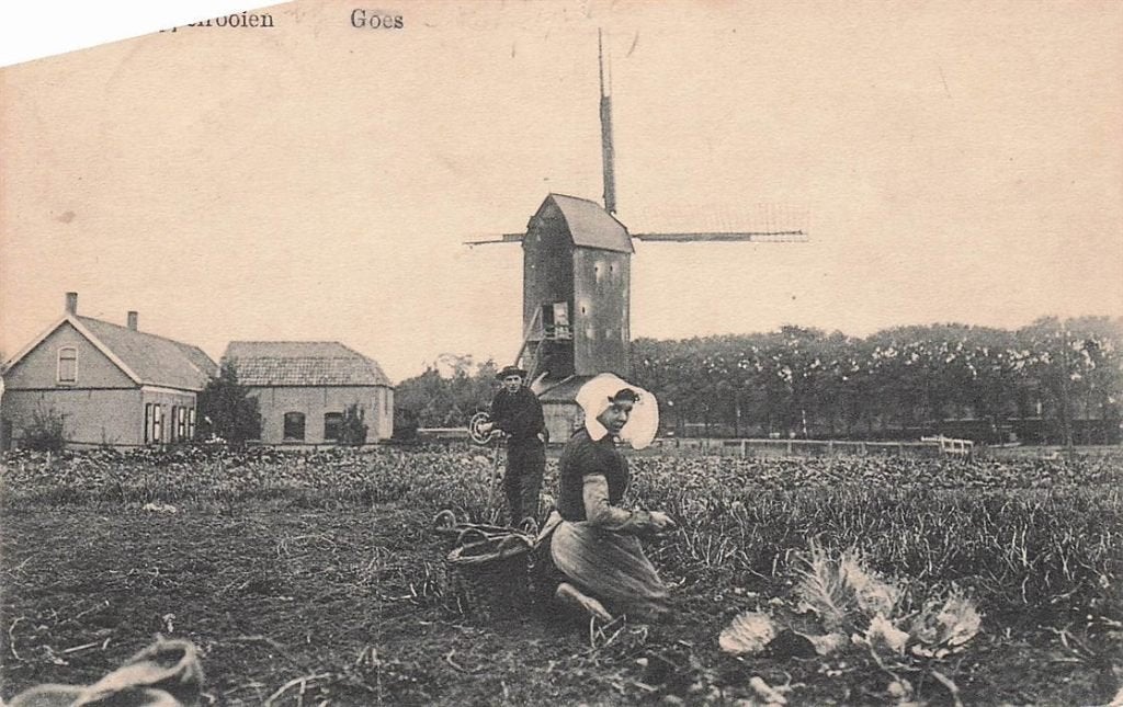 703-070-005 Goes, Verzamelen, Ansichtkaarten | Nederland, Zeeland, Voor 1920, Verzenden