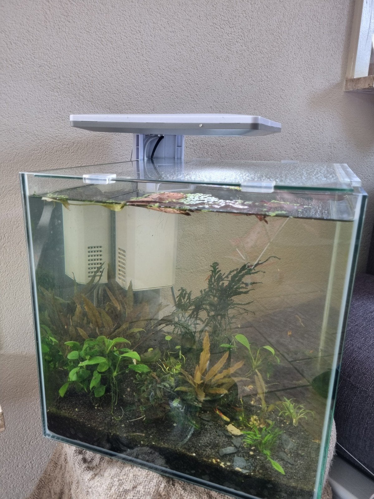 klein aquarium 30x30, Ophalen, Gevuld zoetwateraquarium