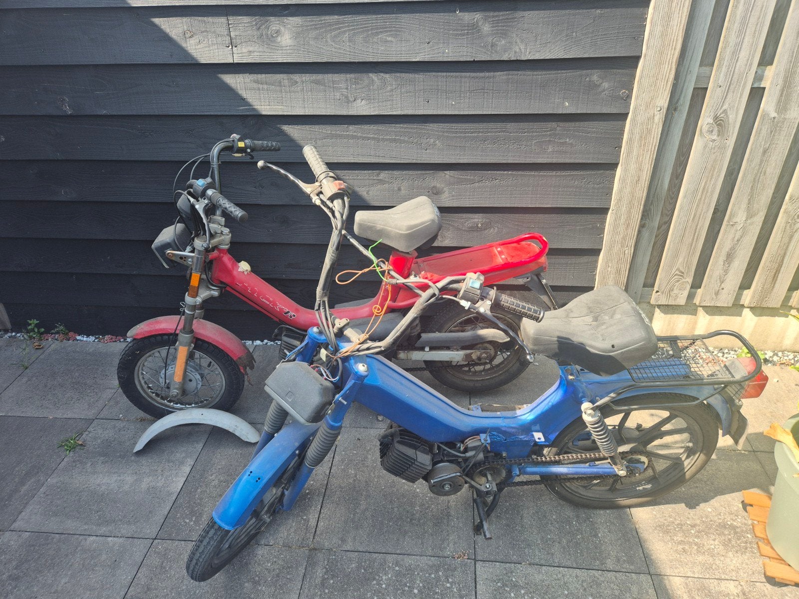 Tomos Flexer en Standard brommers - Opknappers, Ophalen, Gebruikt, Maximaal 25 km/u, Flexer