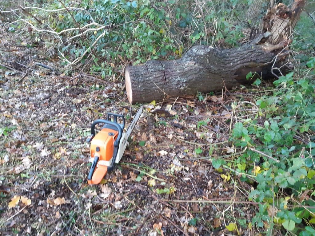Bomen zagen voor het hout, Tuin en Terras, 3 tot 6 m³, Ophalen of Verzenden, Overige houtsoorten