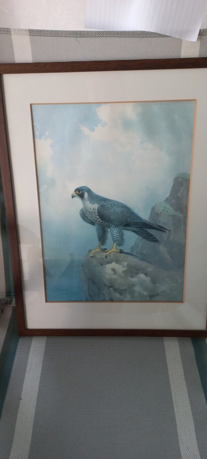 J.C. Harrison - Havik op rots (ingelijst), Antiek en Kunst, Realistisch, Dieren, Ophalen of Verzenden, Gesigneerd