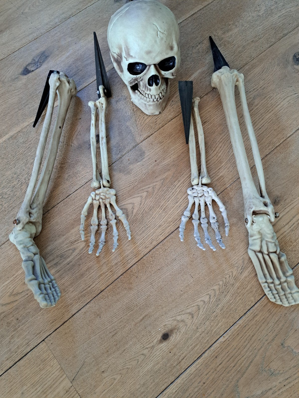 Halloween artikelen, Ophalen of Verzenden, Zo goed als nieuw, Halloween of Griezel