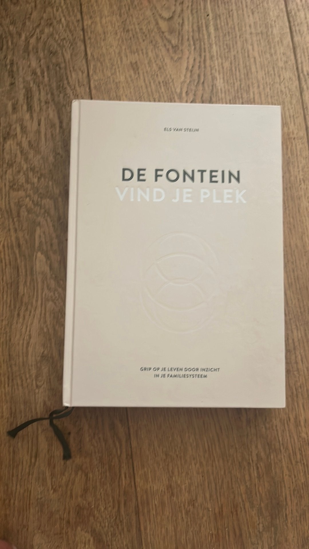 De Fontein, Els van Steijn, Ophalen of Verzenden, Nieuw, Mode algemeen