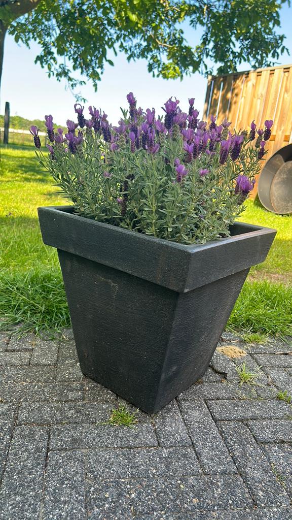 Grijze planten bak, Tuin en Terras, Ophalen, Zo goed als nieuw, Rond, Kunststof