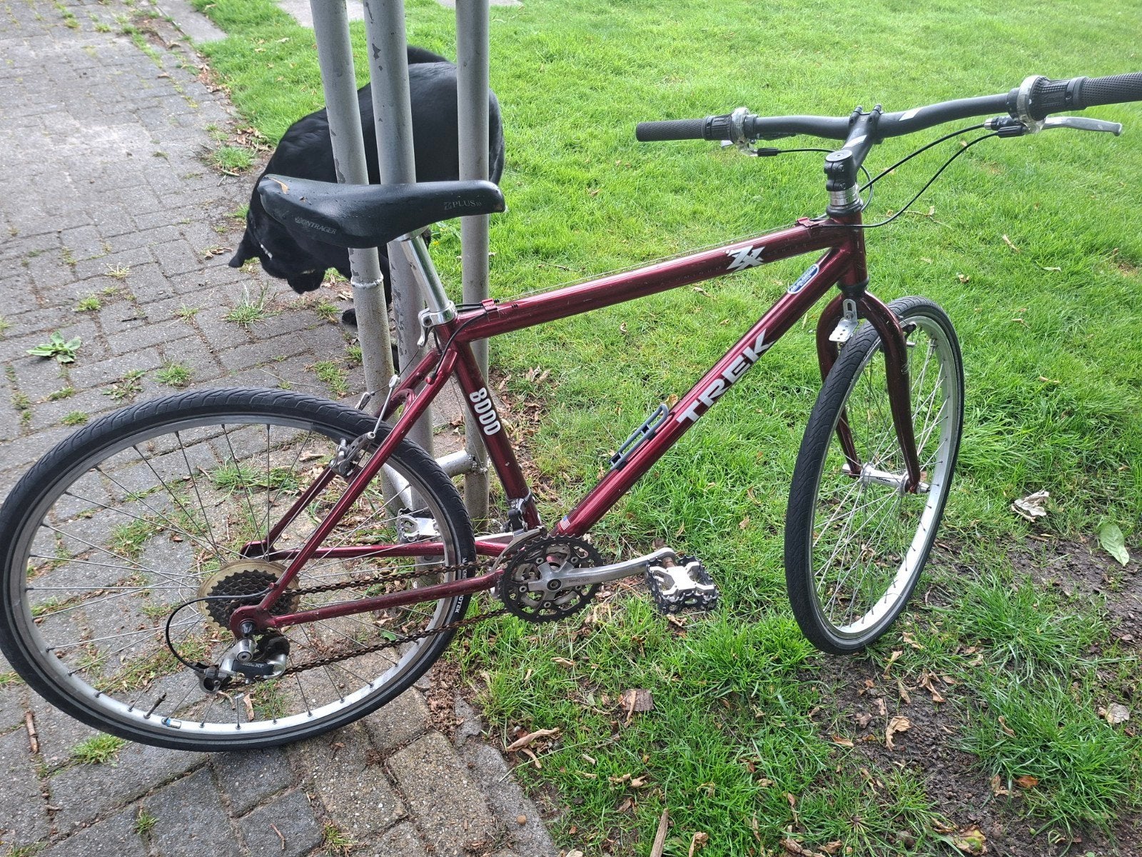 Mountainbike met normale banden, Fietsen en Brommers, Fietsen | Heren | Sportfietsen en Toerfietsen, Ophalen, Meer dan 20 versnellingen