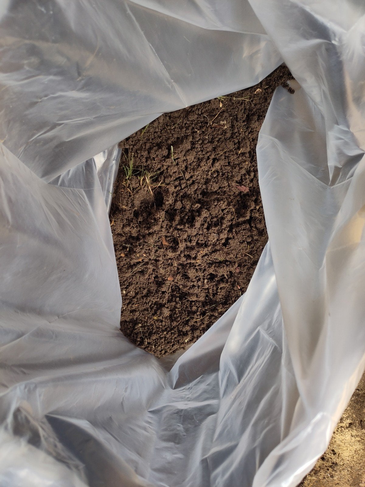 Gratis zwarte grond / tuinaarde (3 kruiwagens), Ophalen, Tuinaarde