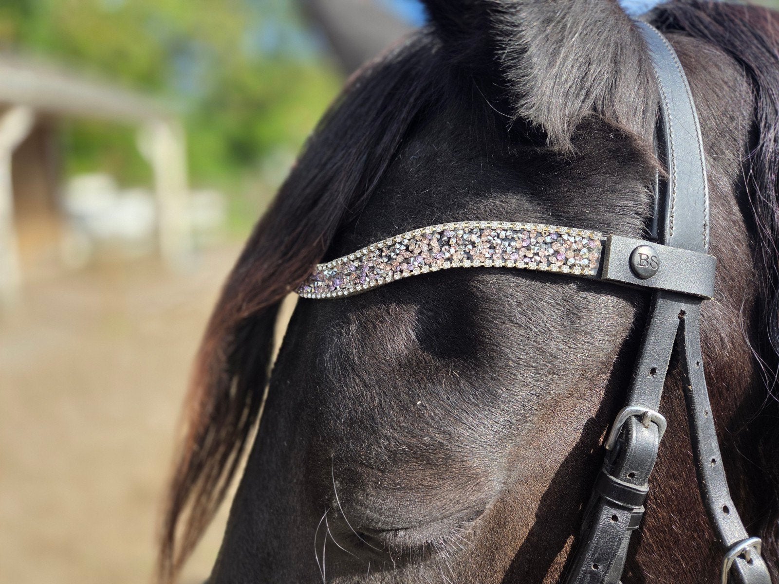 nieuwe frontriem maat full, Handgemaakt, Nieuw, Ophalen of Verzenden, Full