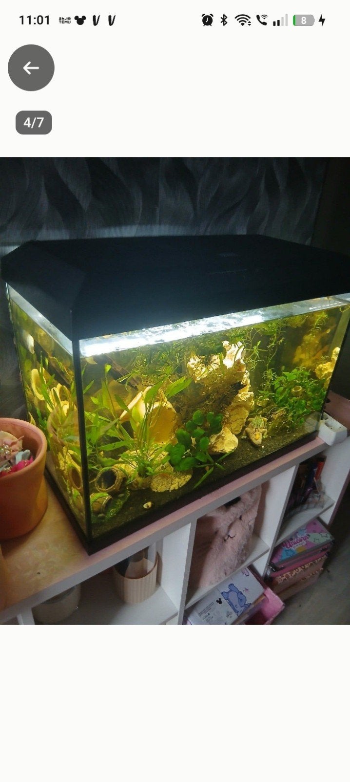 mooie aquarium, Ophalen, Inclusief deksel, Leeg aquarium