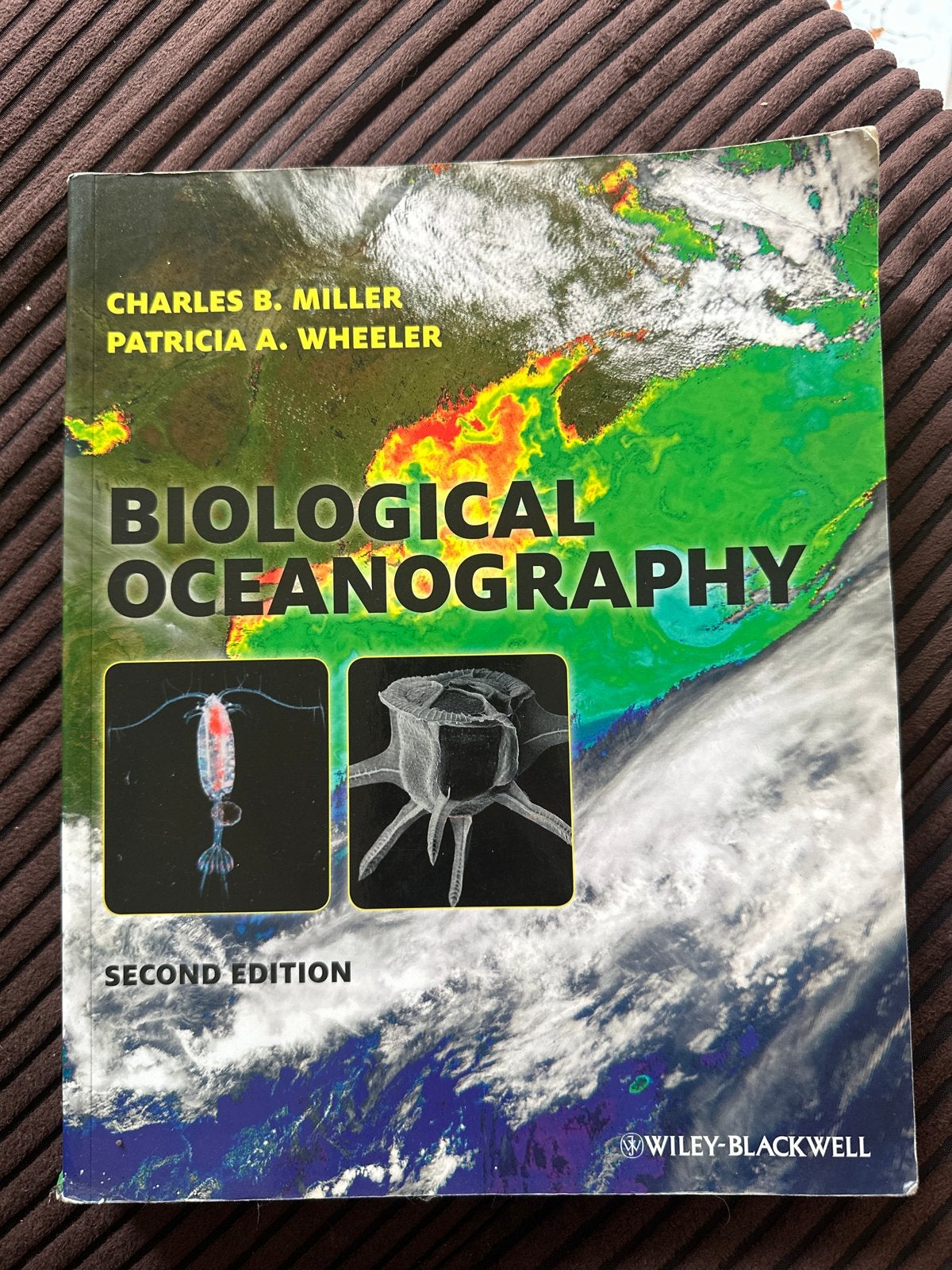 Biological Oceanography - Miller & Wheeler, Ophalen of Verzenden, Beta, Zo goed als nieuw, WO
