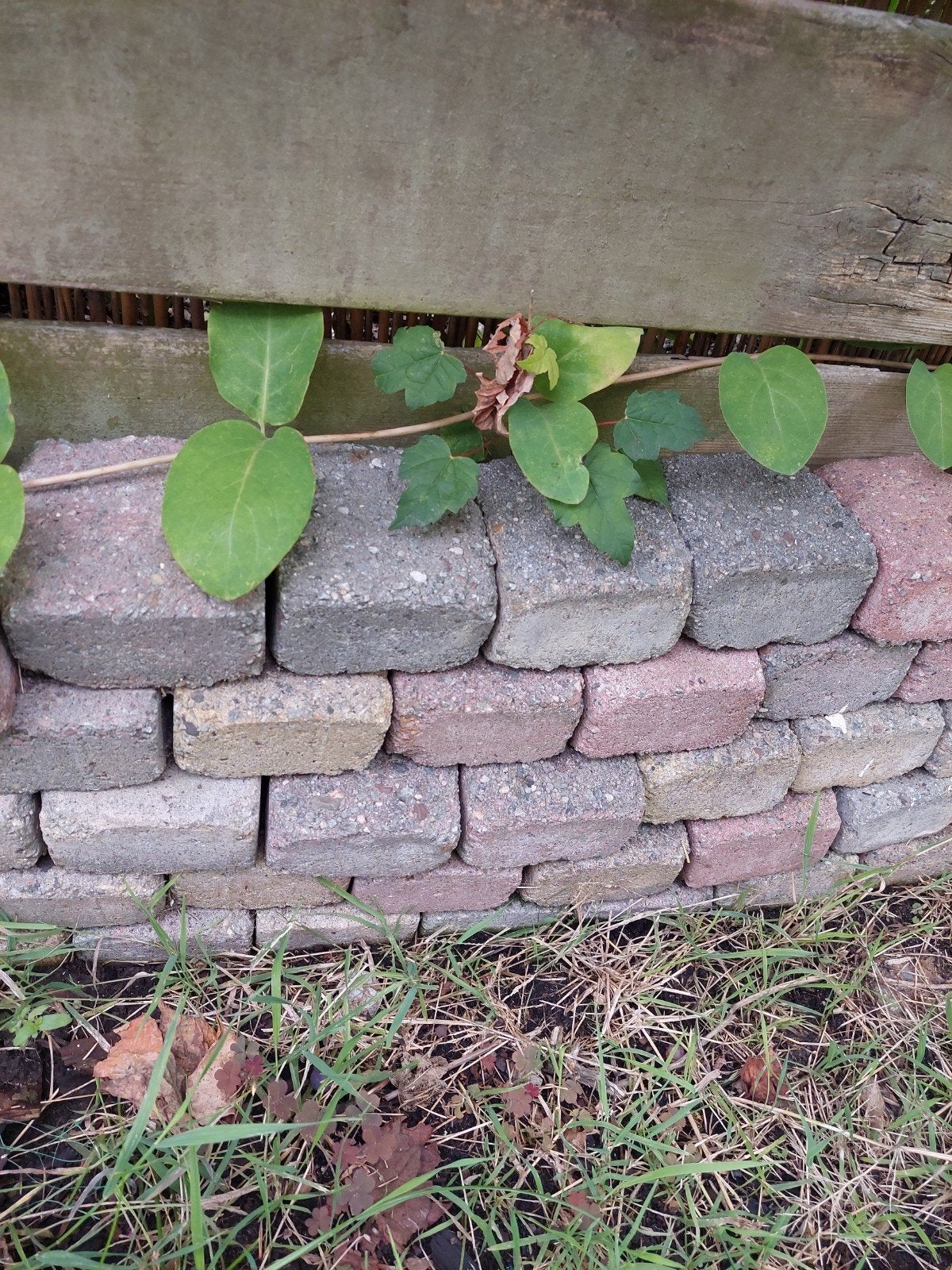 Stenen 10x10cm, Tuin en Terras, Ophalen of Verzenden, Gebruikt, Grijs, Overige typen