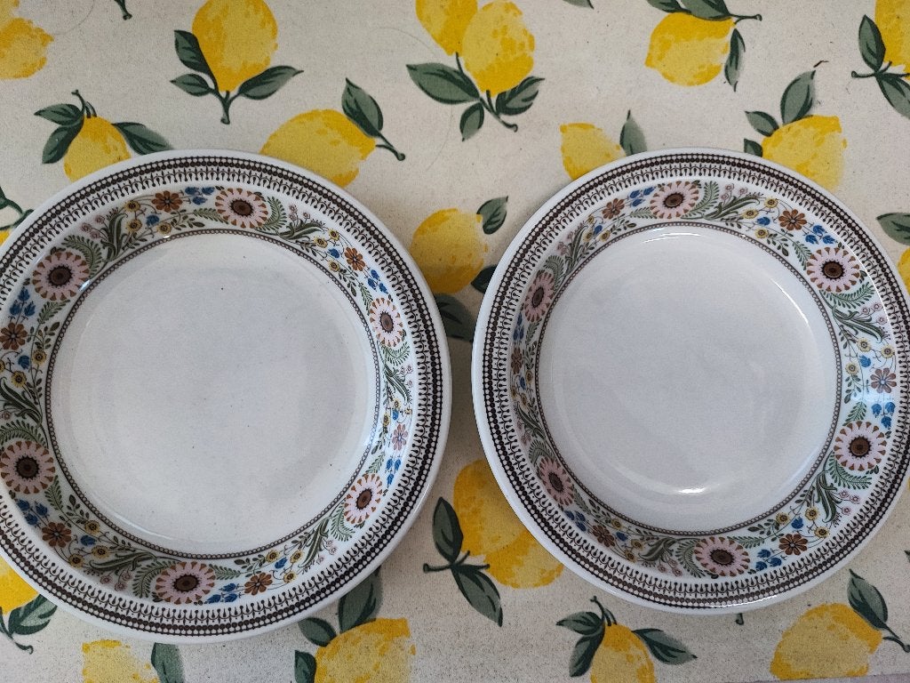 Twee vintage borden met bloemmotief Maastricht, Gebruikt, Overige merken, Keramiek, Vintage