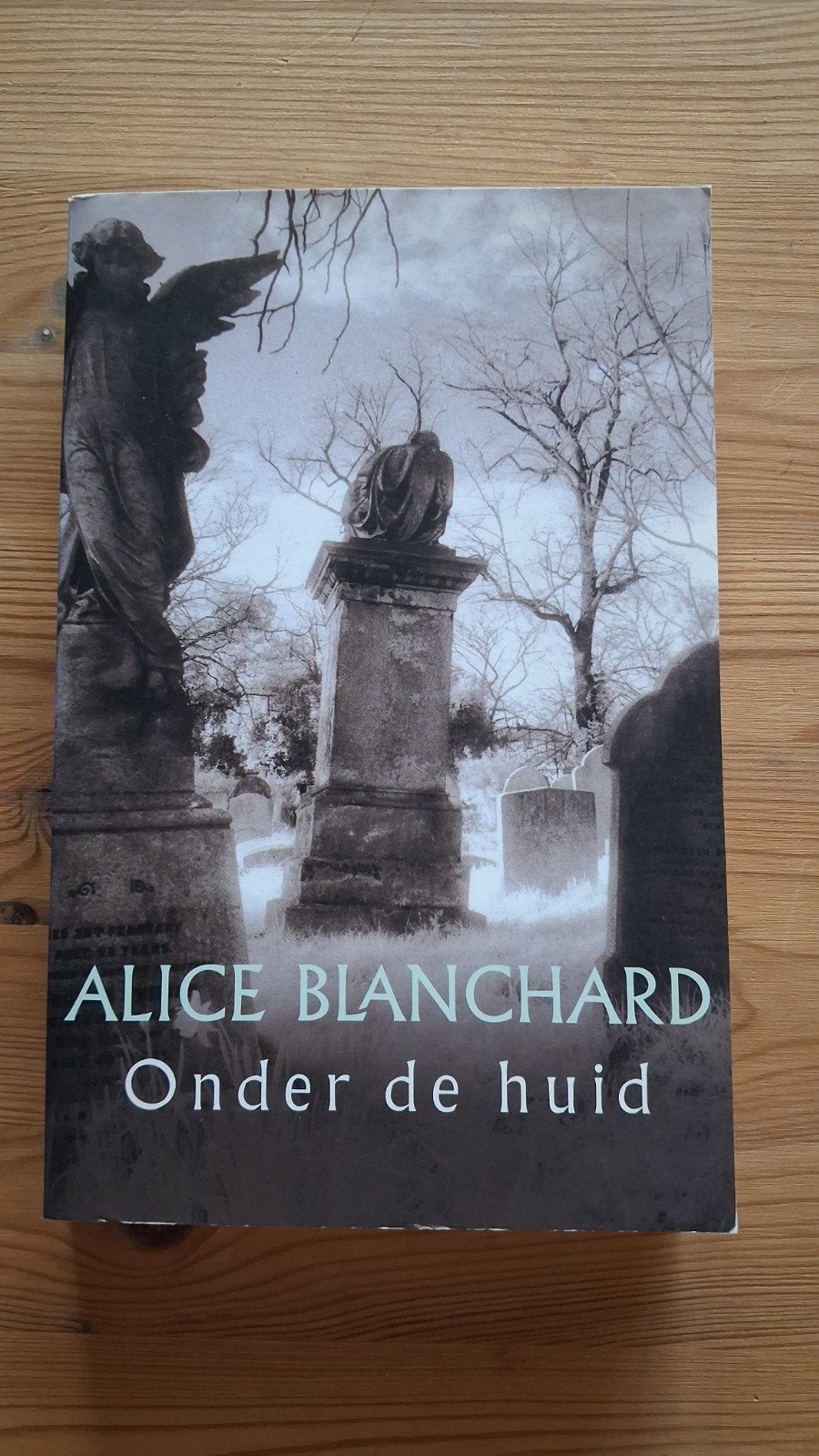 Alice Blanchard - Onder de huid (thriller), Ophalen of Verzenden, Gelezen, Alice Blanchard, Amerika
