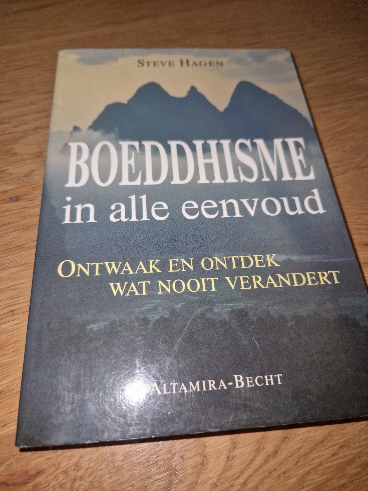 Steve Hagen - Boeddhisme in alle eenvoud, Ophalen of Verzenden, Zo goed als nieuw, Steve Hagen