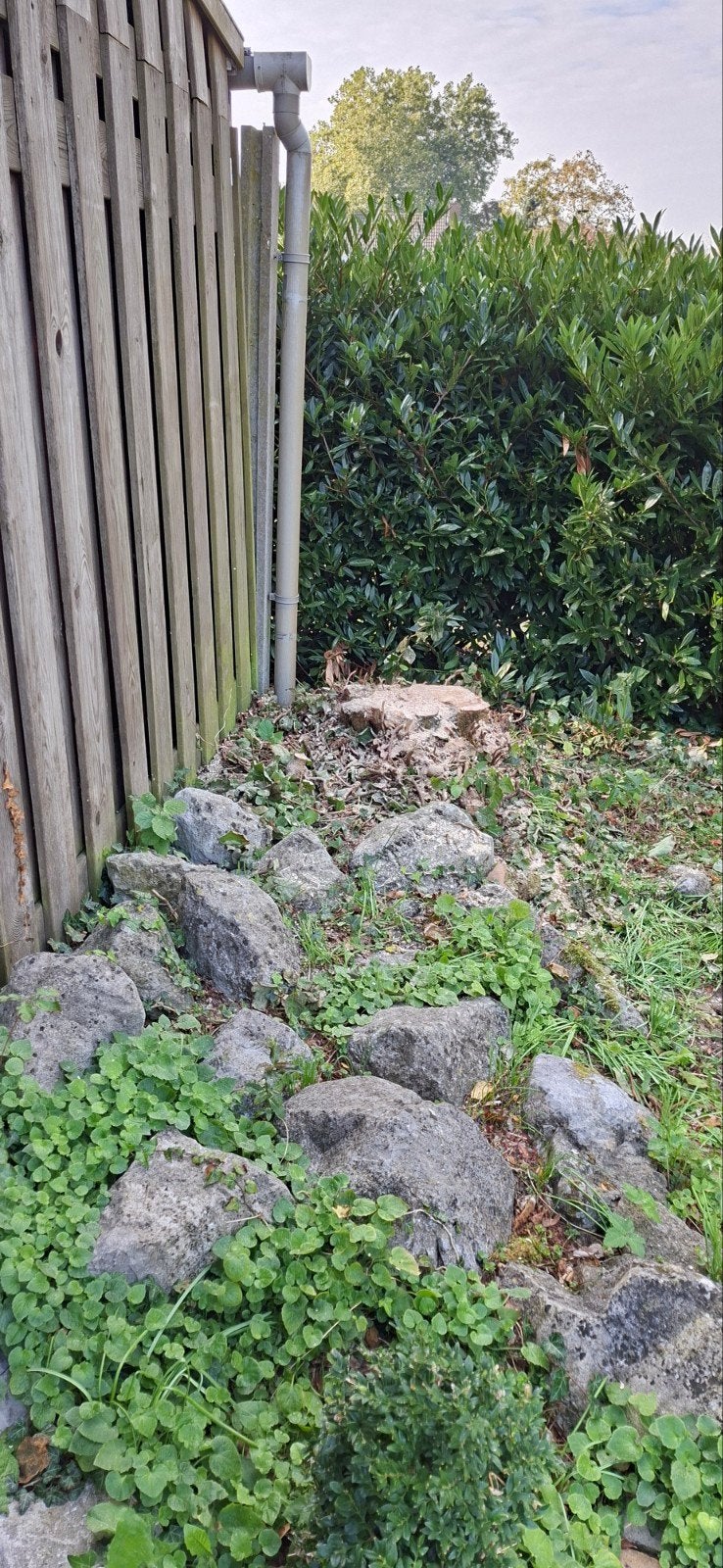 Foto 2 van Basalt blokken mooie voor aan je vijver Gratis met geld er b