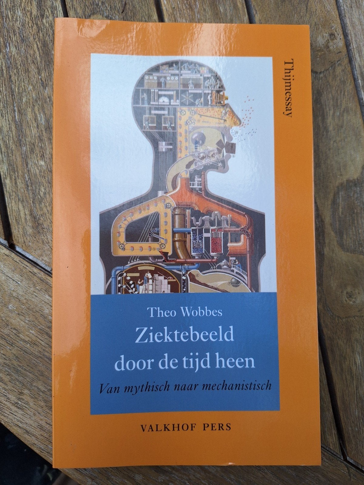 Ziektebeeld door de tijd heen - Theo Wobbes, Boeken, Ophalen of Verzenden, Gelezen, Ziekte en Allergie, Theo Wobbes