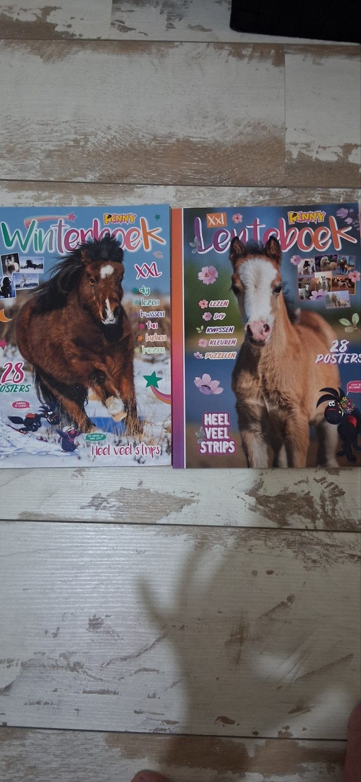 Penny, lente en winterboek, Ophalen of Verzenden, Zo goed als nieuw, Overige typen
