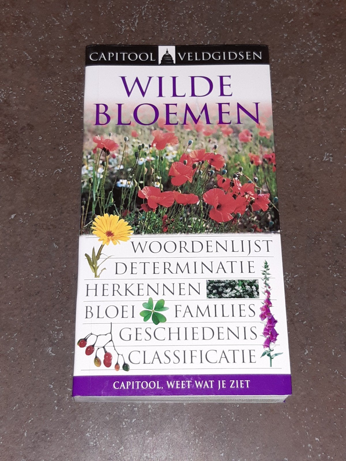 capitool veldgids wilde bloemen nieuw, Ophalen of Verzenden, Nieuw, Bloemen, Planten en Bomen