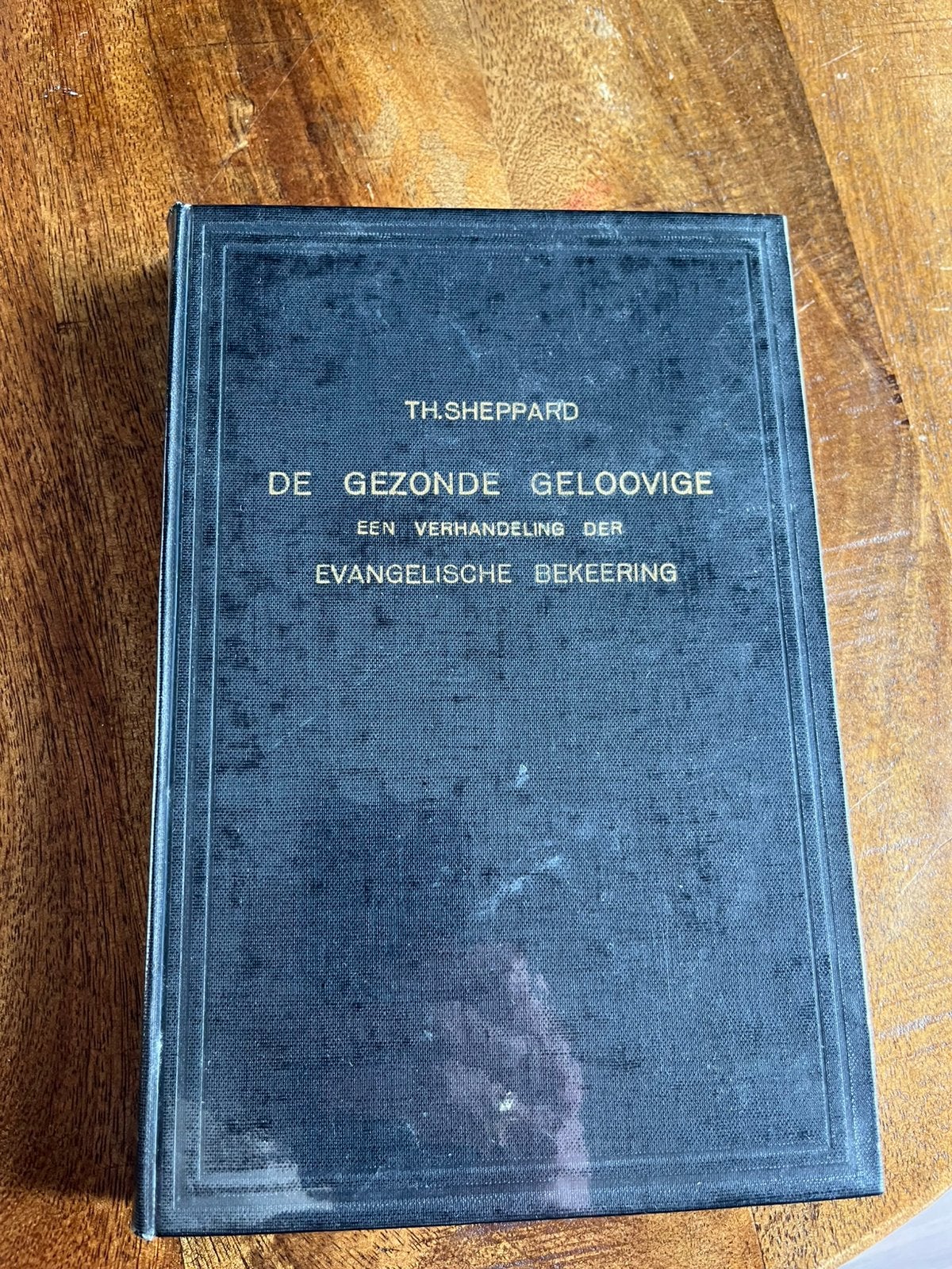 Th. sheppard - De gezonde geloovige, Ophalen of Verzenden, Zo goed als nieuw