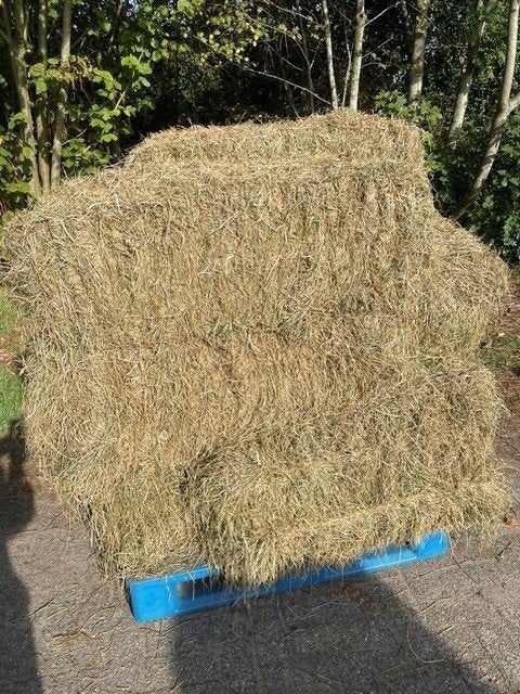 Kleine pakken hooi, Dieren en Toebehoren, Ophalen, Vee