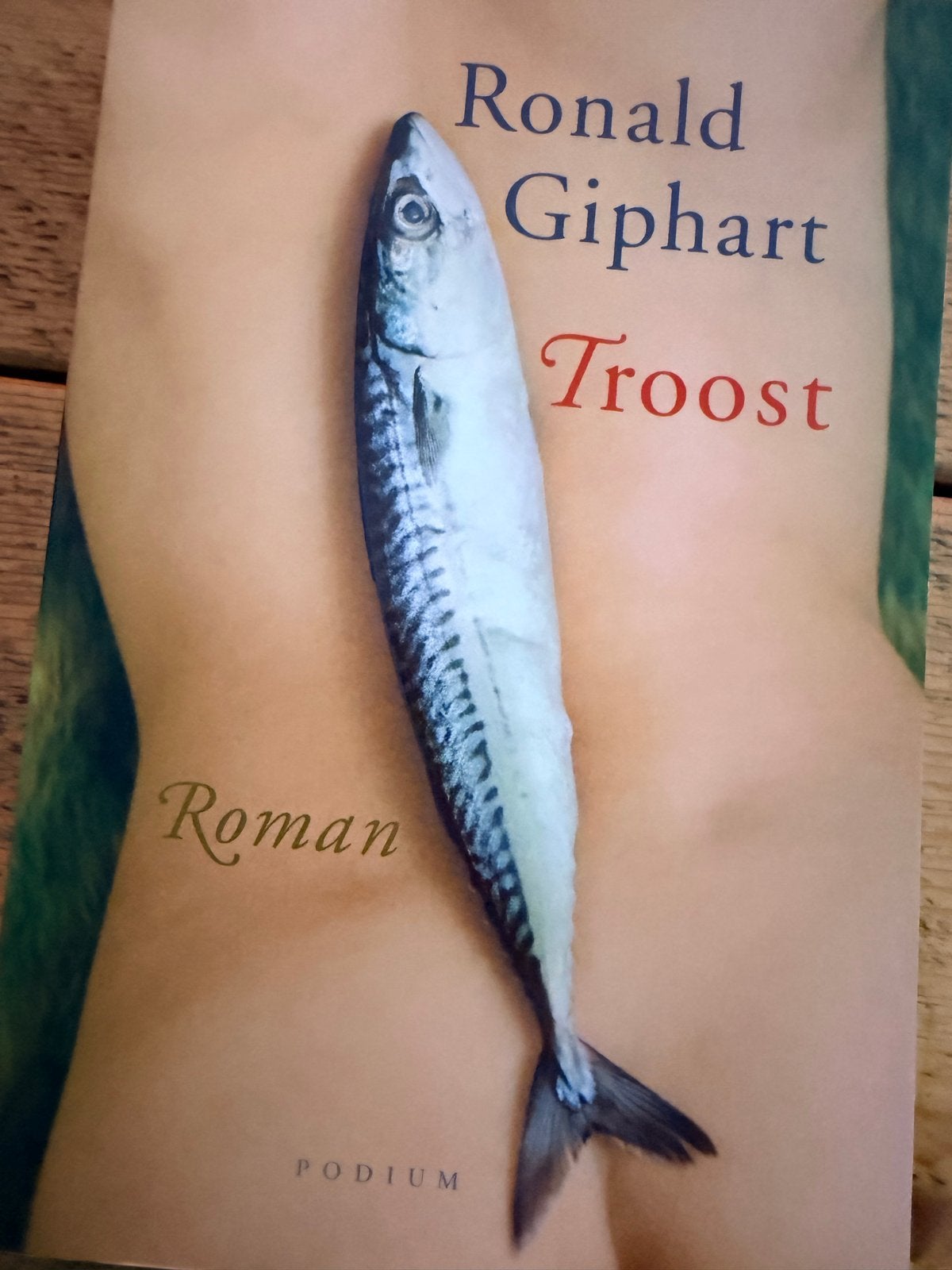 Ronald Giphart - Troost (Roman), Boeken, Romans, Nieuw, Nederland, Ophalen of Verzenden
