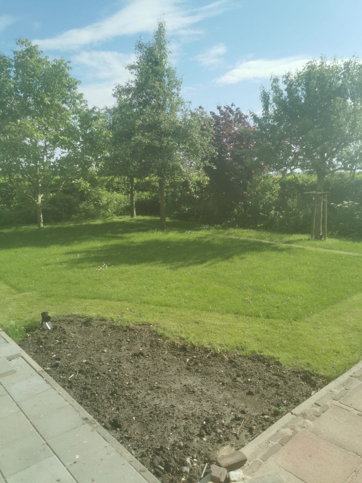 Tuinman, Garantie, Tuinonderhoud of Snoeiwerk