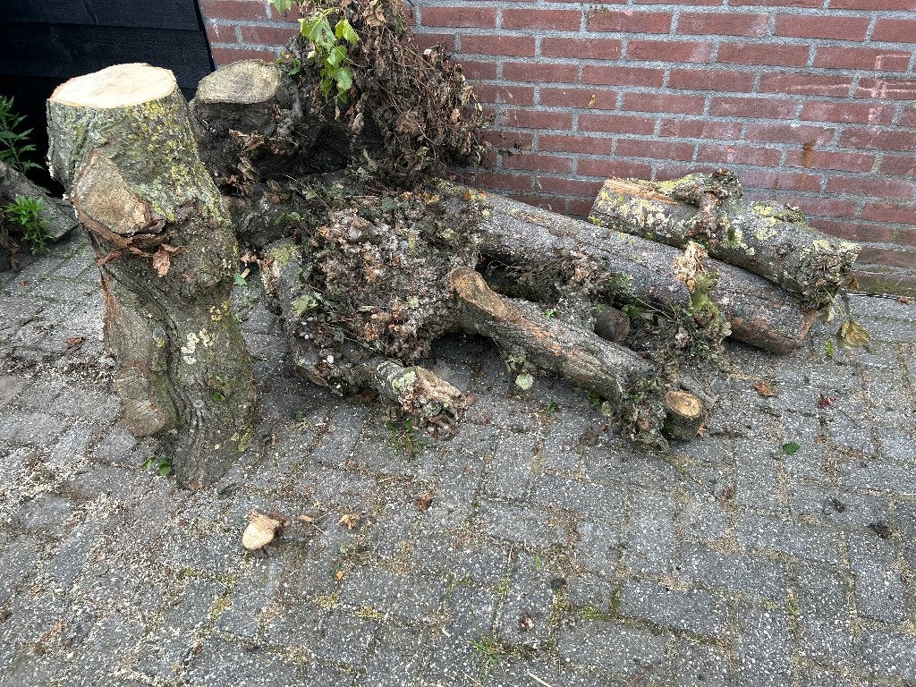 Haardhout  hout, Tuin en Terras, Haardhout, 6 m³ of meer, Ophalen, Overige houtsoorten, Stammen