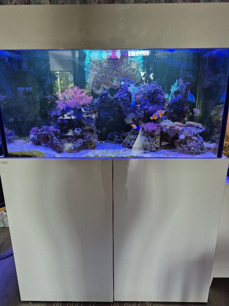 Draaiend zeeaquarium te koop, Dieren en Toebehoren, Ophalen, Gevuld zeewateraquarium, Gebruikt, Overige merken