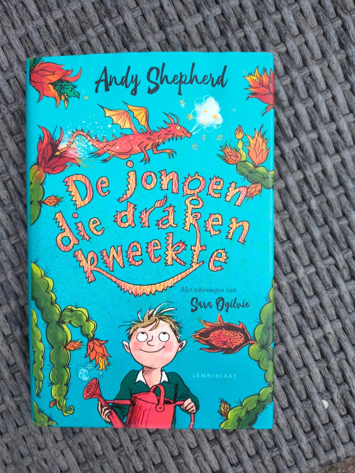 Andy Shepherd - De jongen die draken kweekte, Fictie algemeen, Ophalen of Verzenden, Andy Shepherd, Zo goed als nieuw