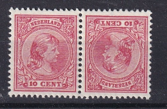 B119A) 1891 NL nr 37 €400 MNH tete beche geen garantie, Verzenden, T/m 1940, Postfris