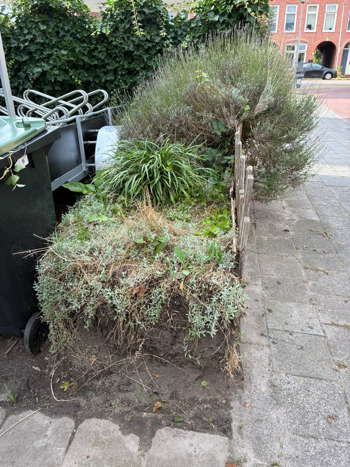 1.7 m3 Tuinaarde gratis af te halen, Tuin en Terras, Ophalen, Halfschaduw, Overige soorten, 100 tot 250 cm