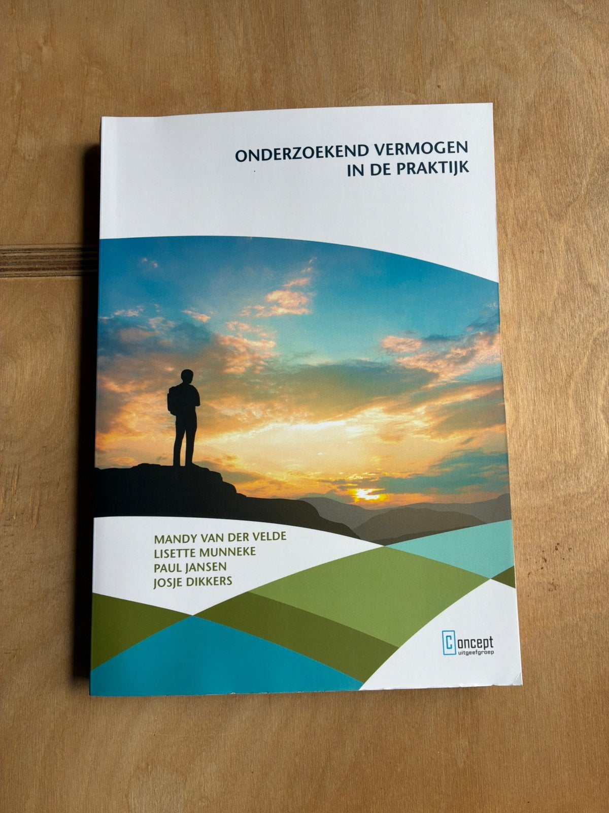 Onderzoekend vermogen in de praktijk boek, Ophalen of Verzenden, Gamma, Zo goed als nieuw, HBO