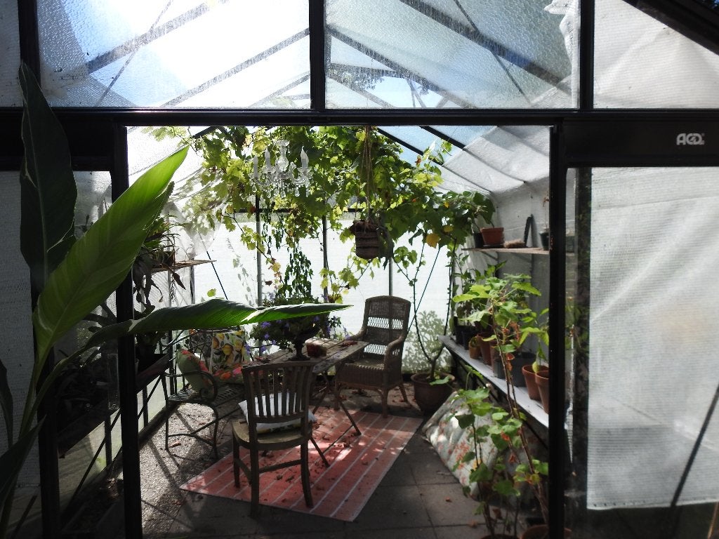 Grote kas / tuinkamer, Tuin en Terras, Ophalen, Kweekkas, Zo goed als nieuw, Glas