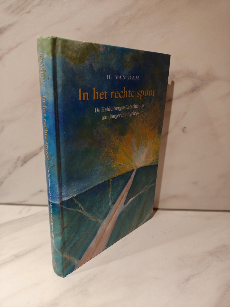 H. van Dam: In het rechte spoor, Boeken, Ophalen of Verzenden, Gelezen, Christendom | Protestants