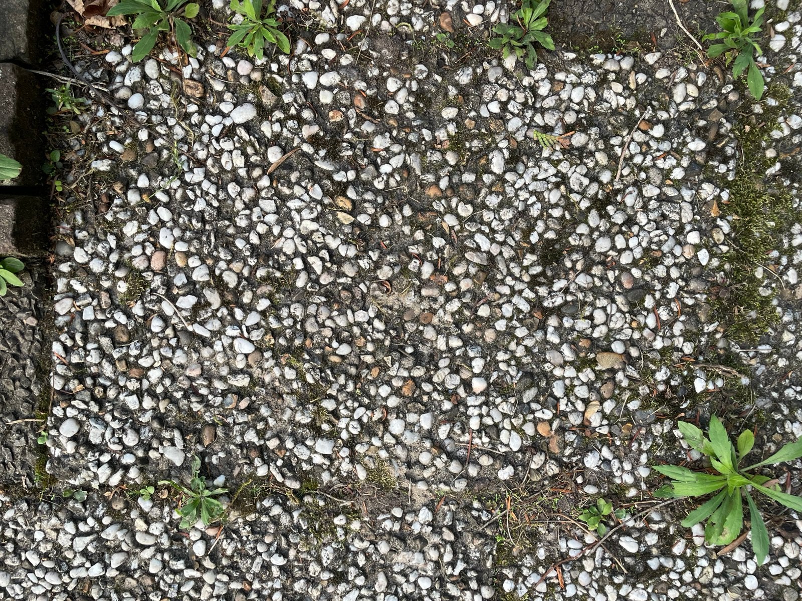 130 grindtegels 60x40 cm - Gebruikt, Ophalen, Gebruikt, 10 m² of meer, Beton