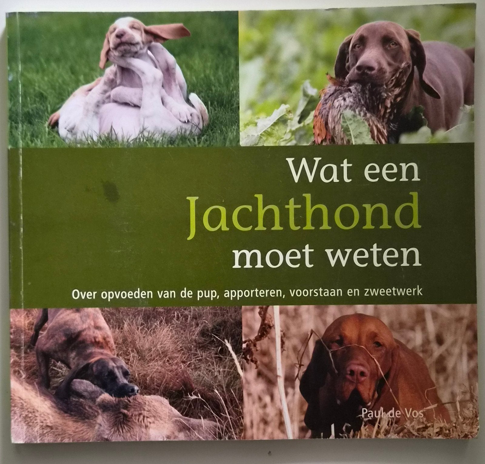 Wat een Jachthond moet weten - Paul de Vos, Boeken, Ophalen of Verzenden, Zo goed als nieuw, Honden, Paul de Vos