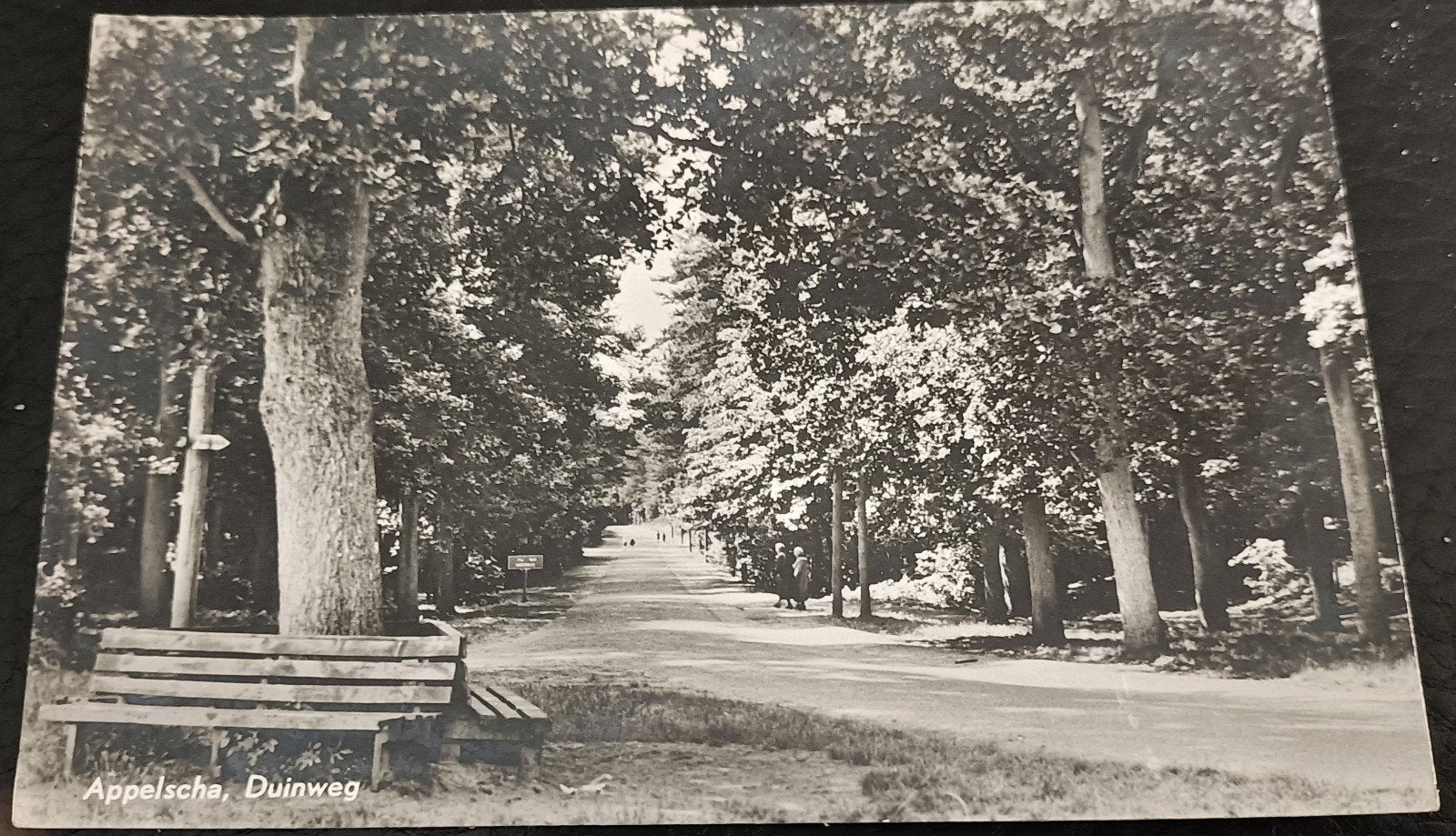 Appelscha 1965. Duinweg, Ophalen of Verzenden, 1960 tot 1980, Gelopen, Friesland
