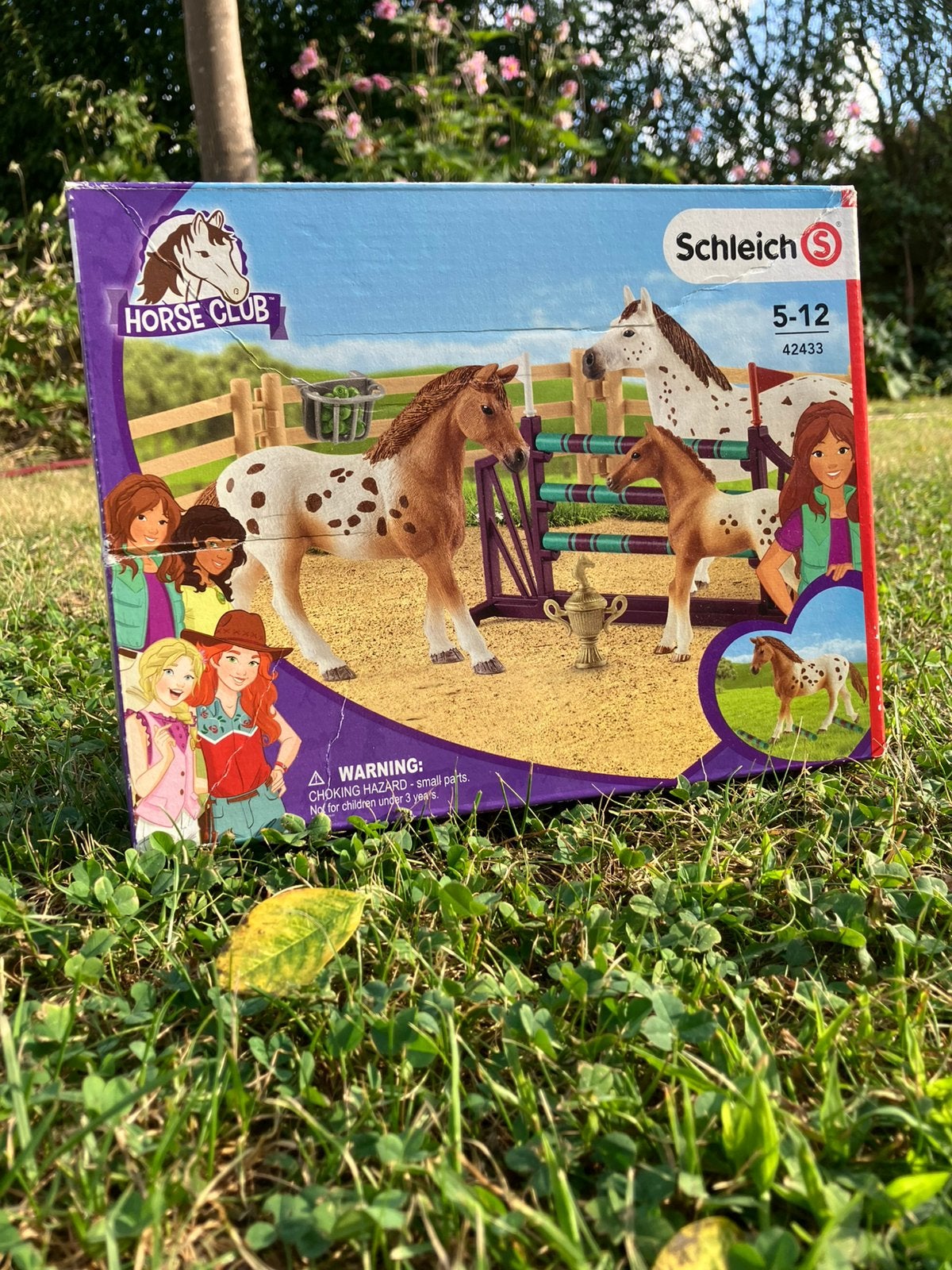 Schleich Horse Club Lisa’s toernooitraining, Ophalen of Verzenden, Zo goed als nieuw