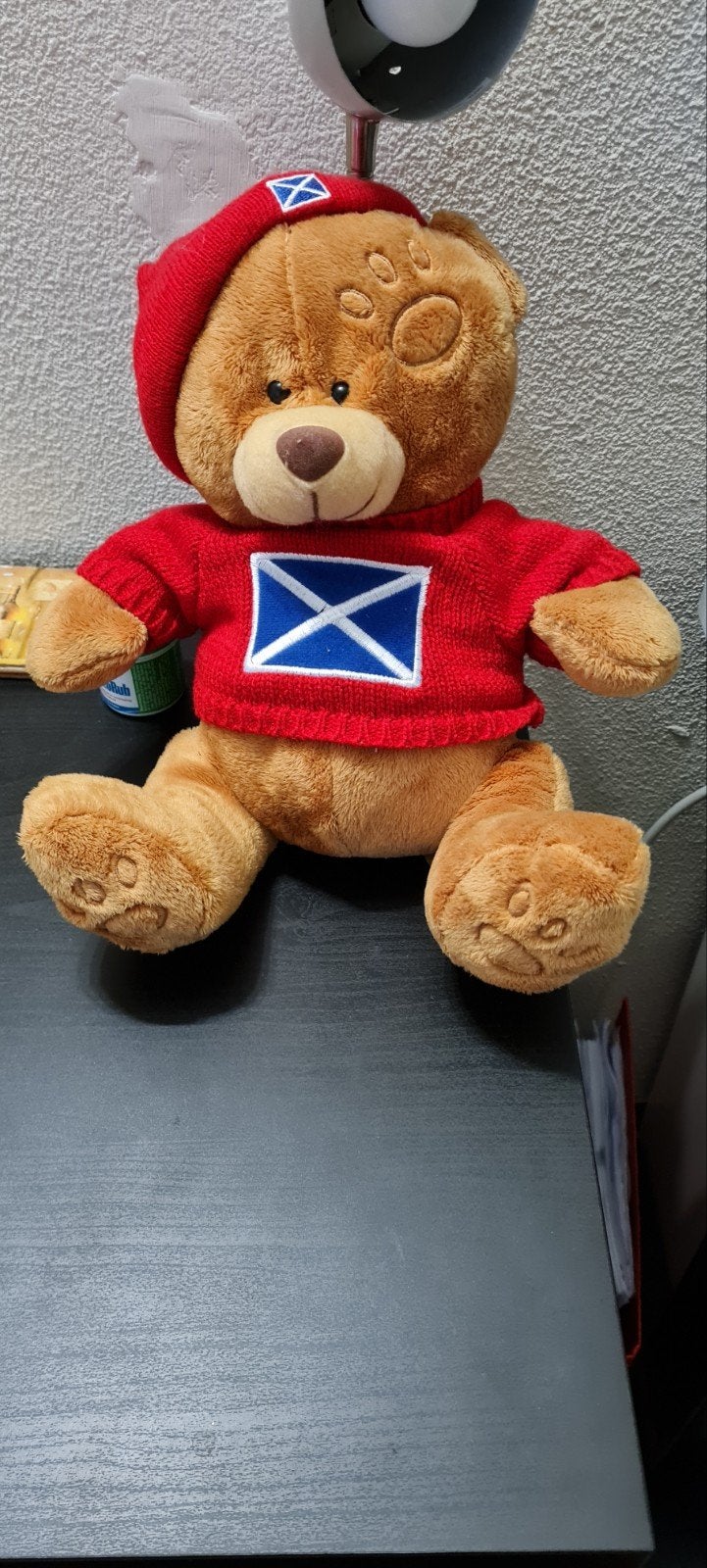 Schotse Teddybeer met Trui en Baret, Beer, Ophalen of Verzenden, Zo goed als nieuw, Met kleding of accessoire